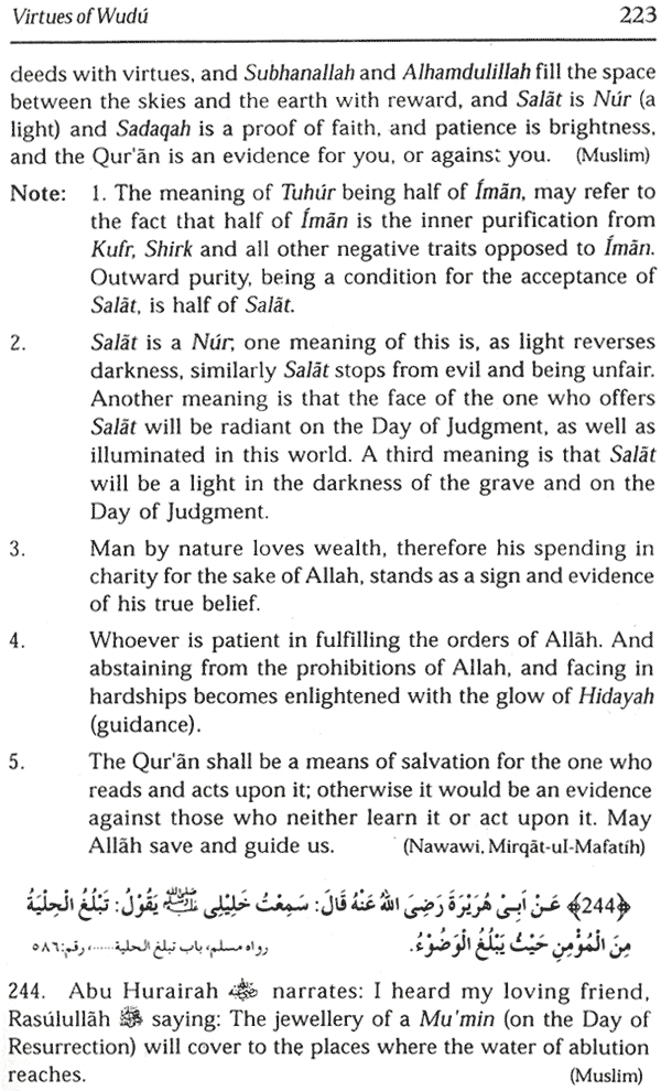 the virtues of wudu