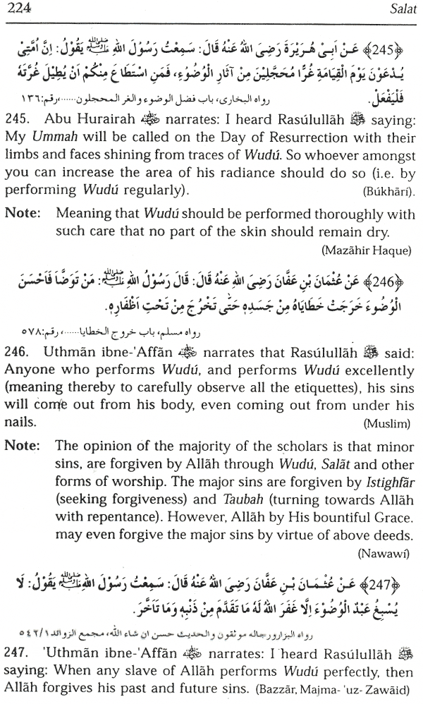 the virtues of wudu