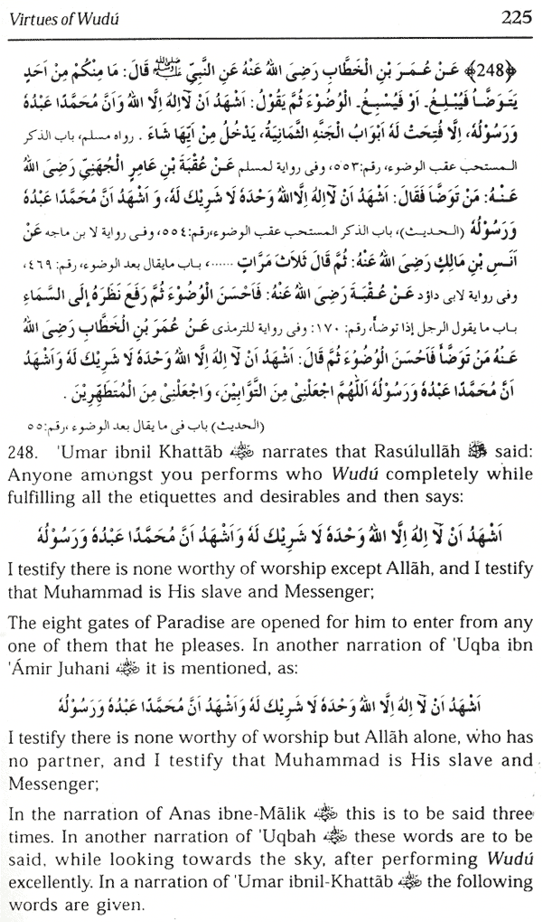 the virtues of wudu