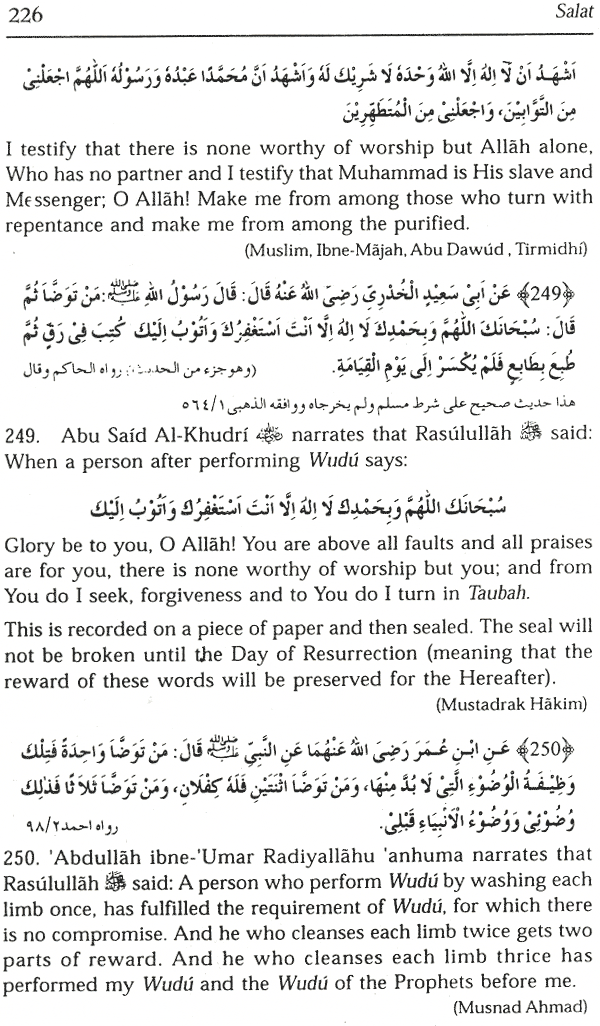 the virtues of wudu