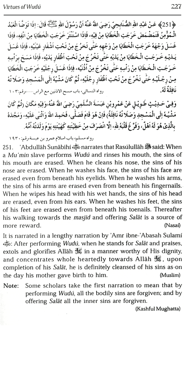 the virtues of wudu