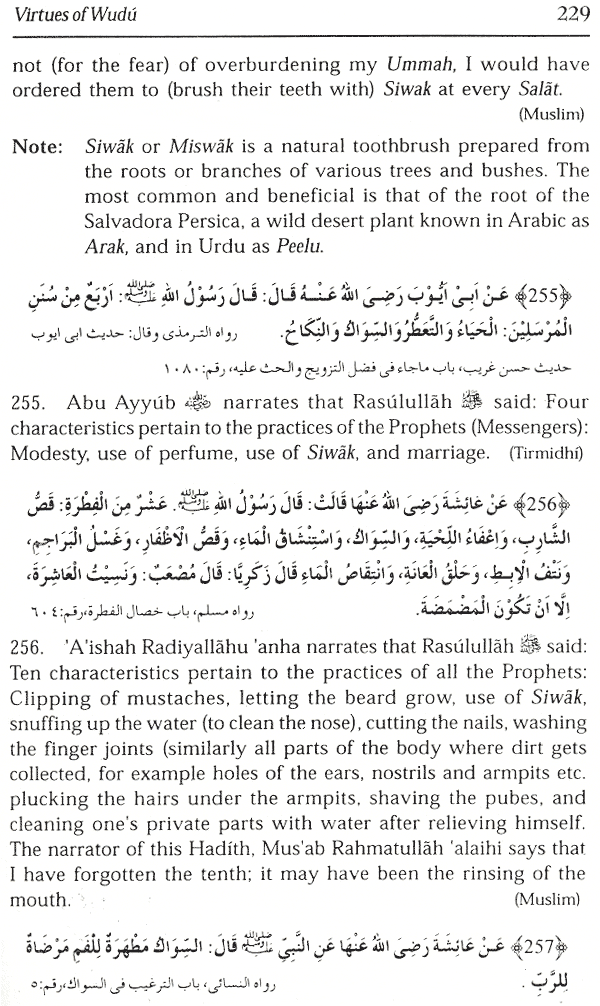 the virtues of wudu